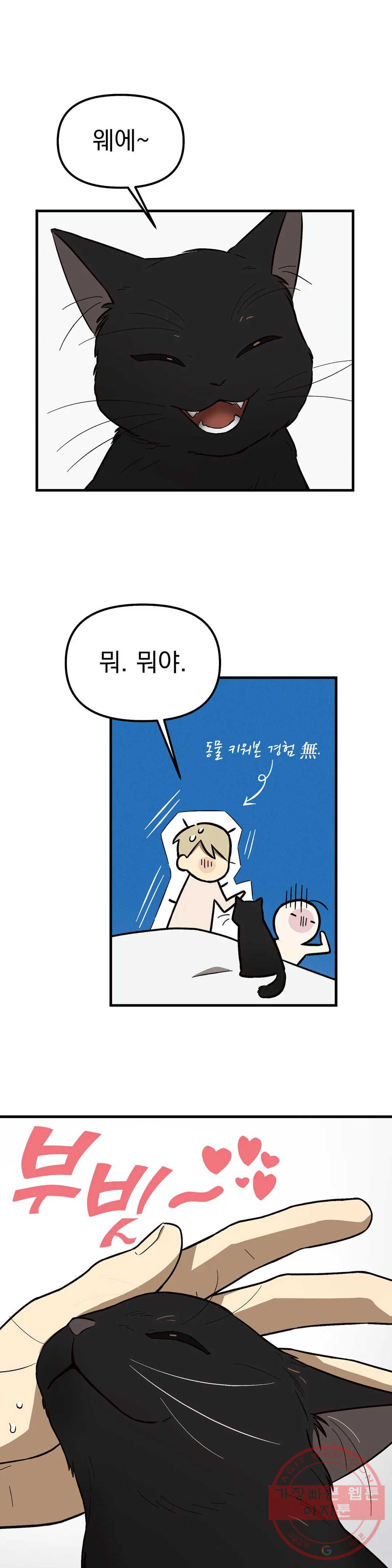 163435501929781wrrdn8vav.jpeg