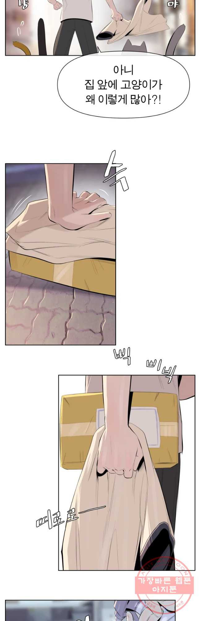 163488268906663kymyn4pv6.jpeg