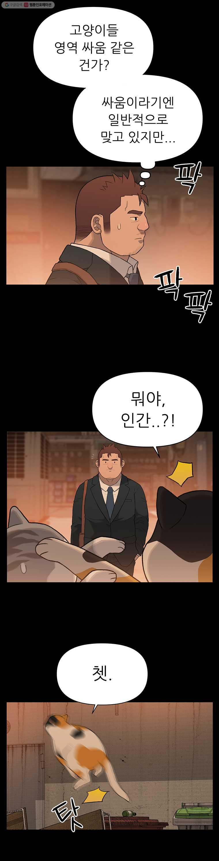 16357113509974wi9hmj8ted.jpeg