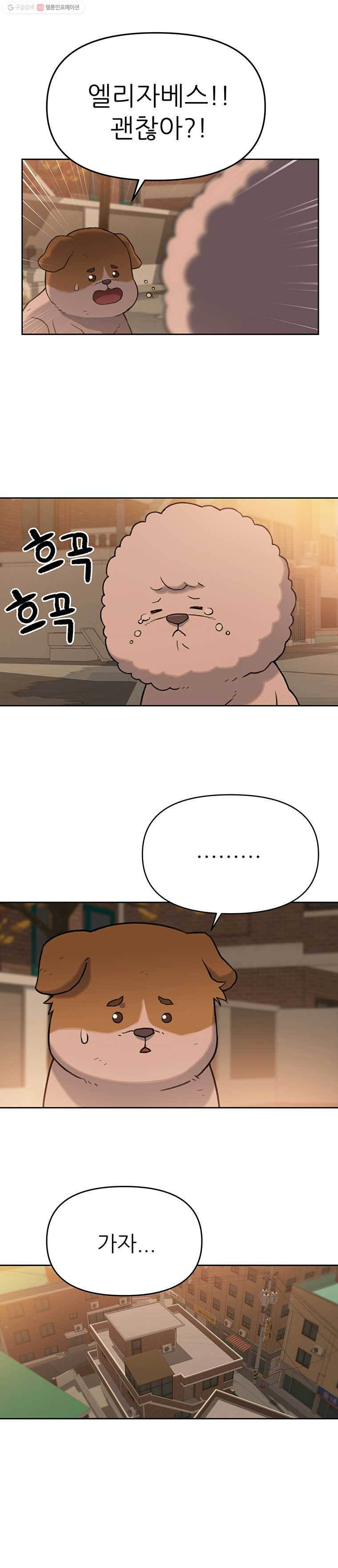 1635711484119lgkiq88e25.jpeg