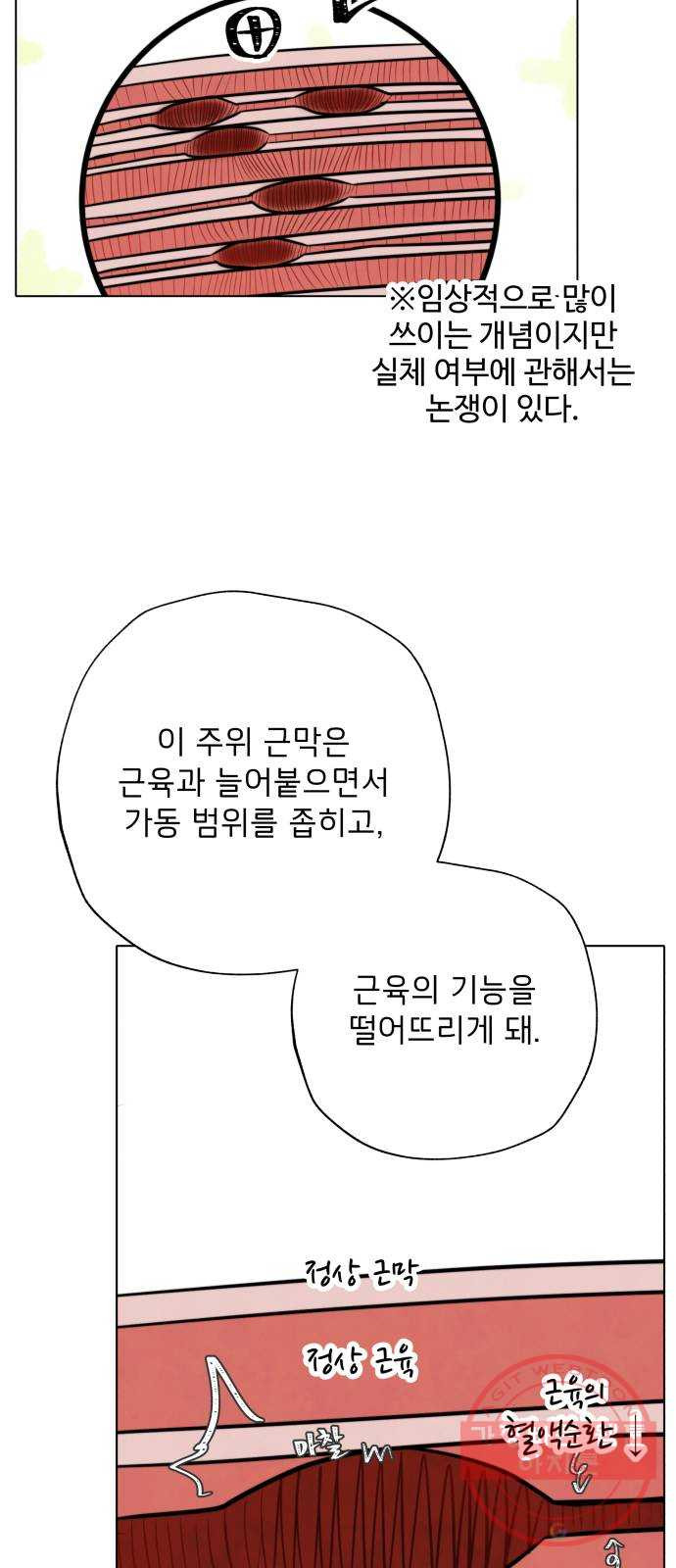 16368524255964pkq3qkwss5.jpeg