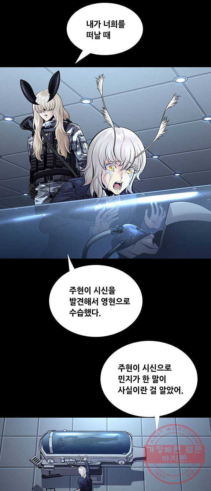 1639080757735manx12qkin.jpeg