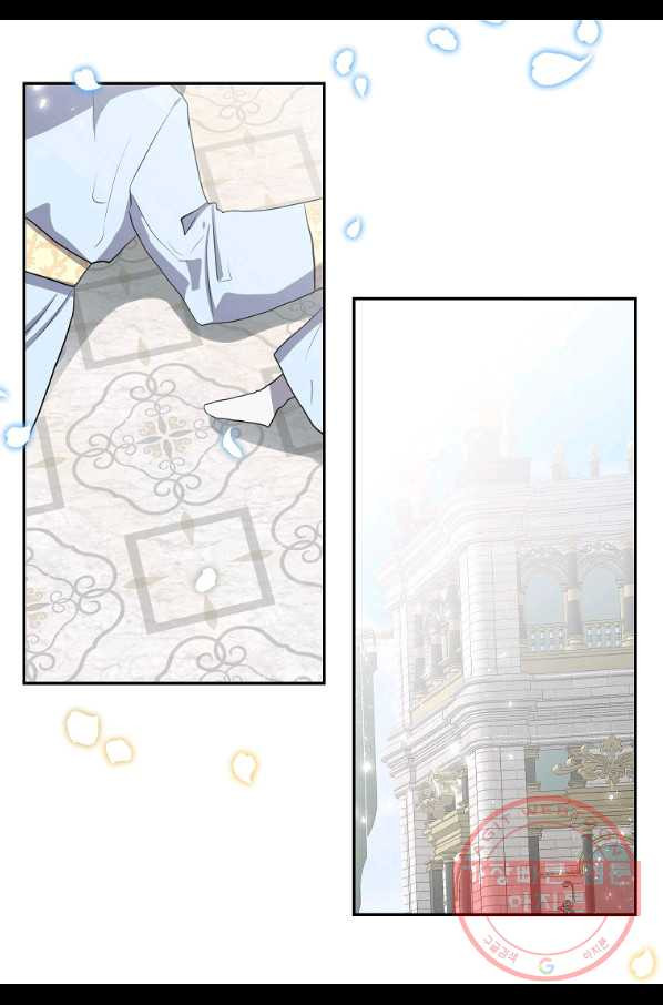 1639491592318twjvyc3695s.jpeg