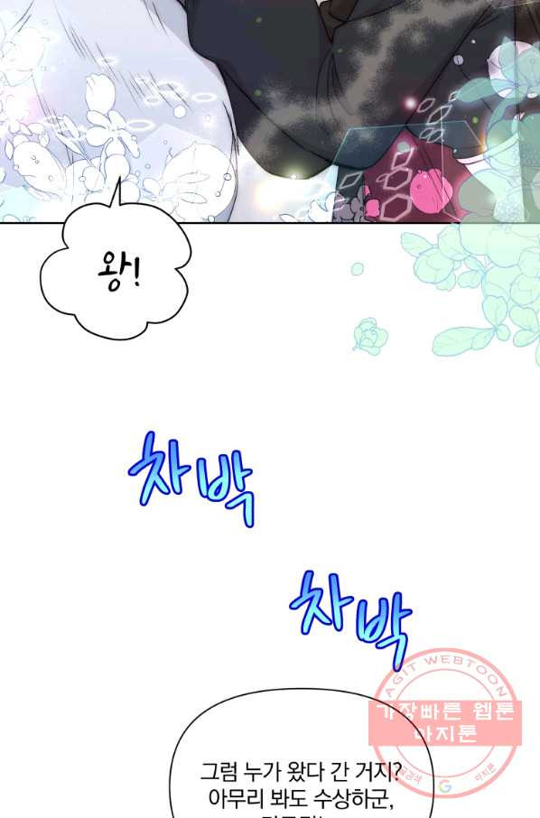 1639496173109ymj4ngrguar.jpeg