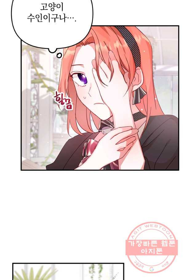 163949624382403v6drpn5z0.jpeg