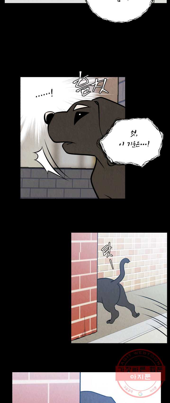 1625132097547.jpeg