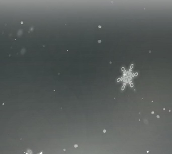 1626930742990.jpeg