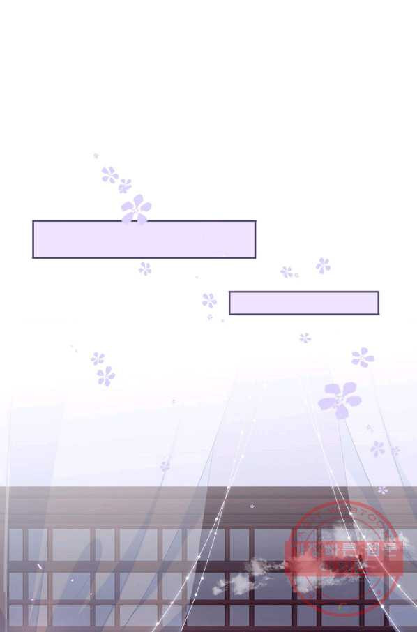 1641004683407msk2v266mir.jpeg