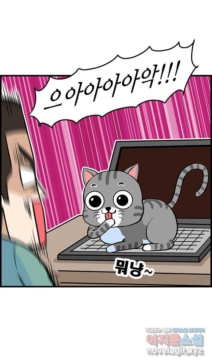1666672072987000exy8x4gx.jpeg