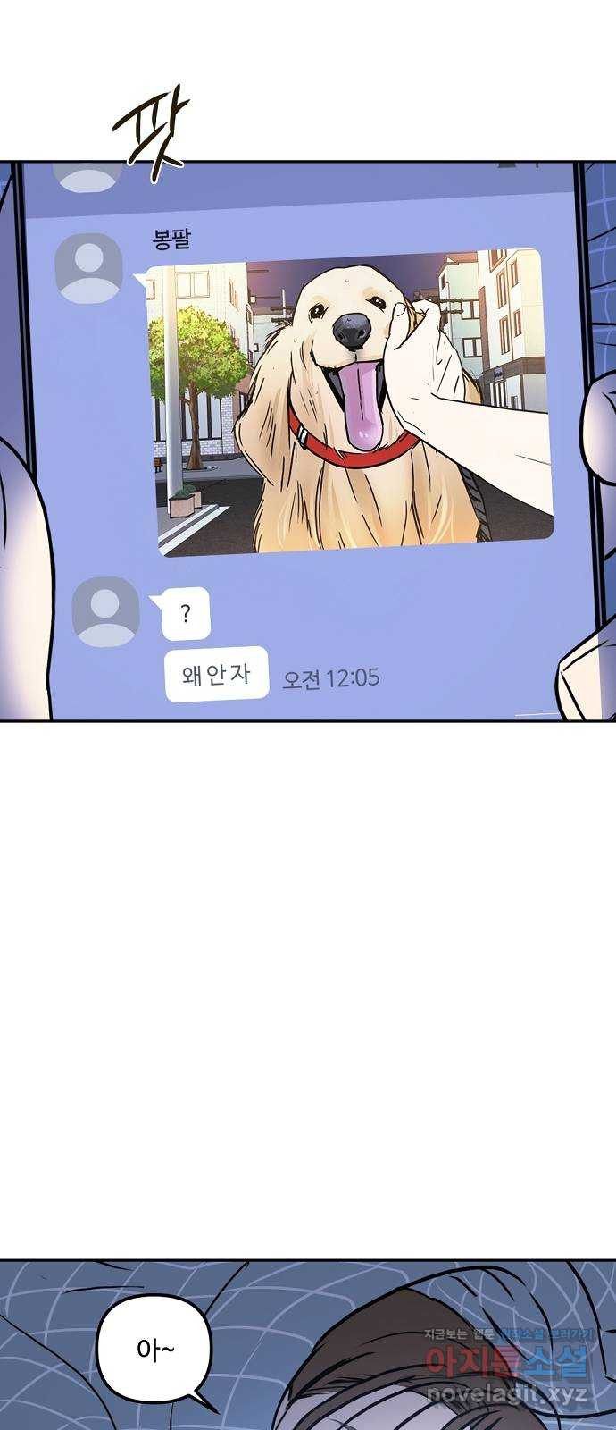1665289440461bvjs4lep7r.jpeg