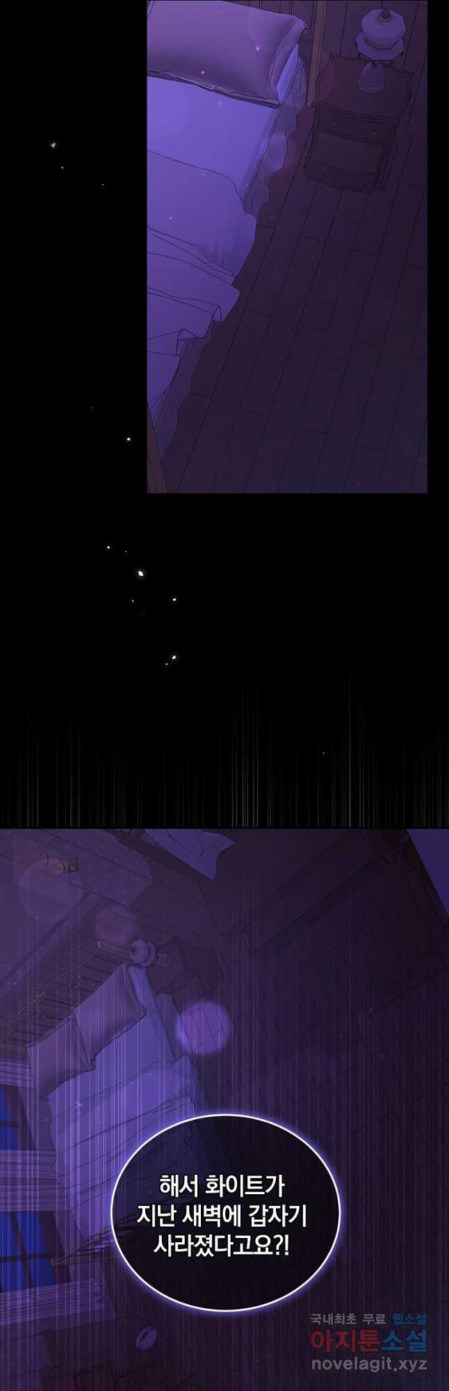 1669497791241p3bnoed3twm.jpeg