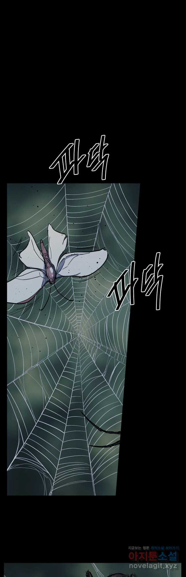 16675363338377gx173cb8n.jpeg