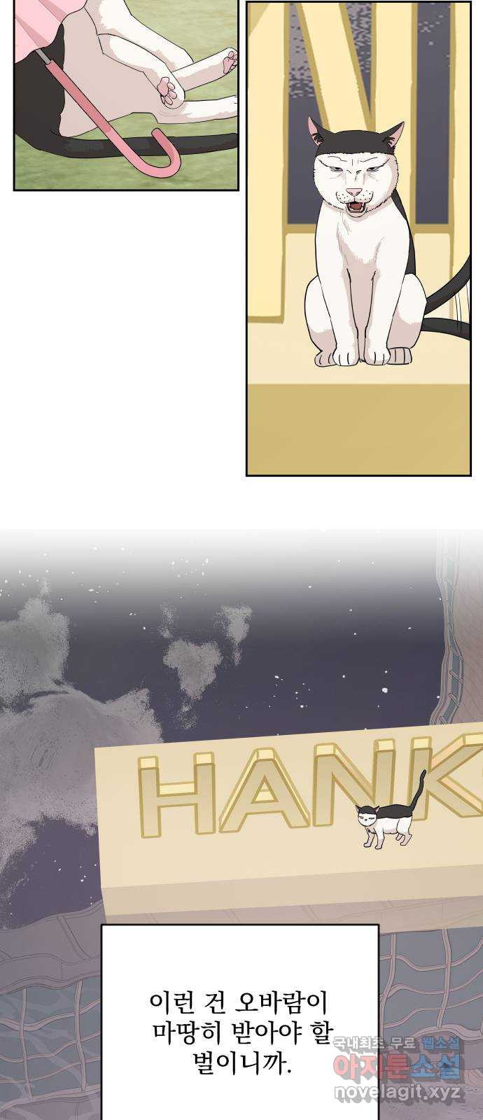 16711558194156hzu6waics9.jpeg