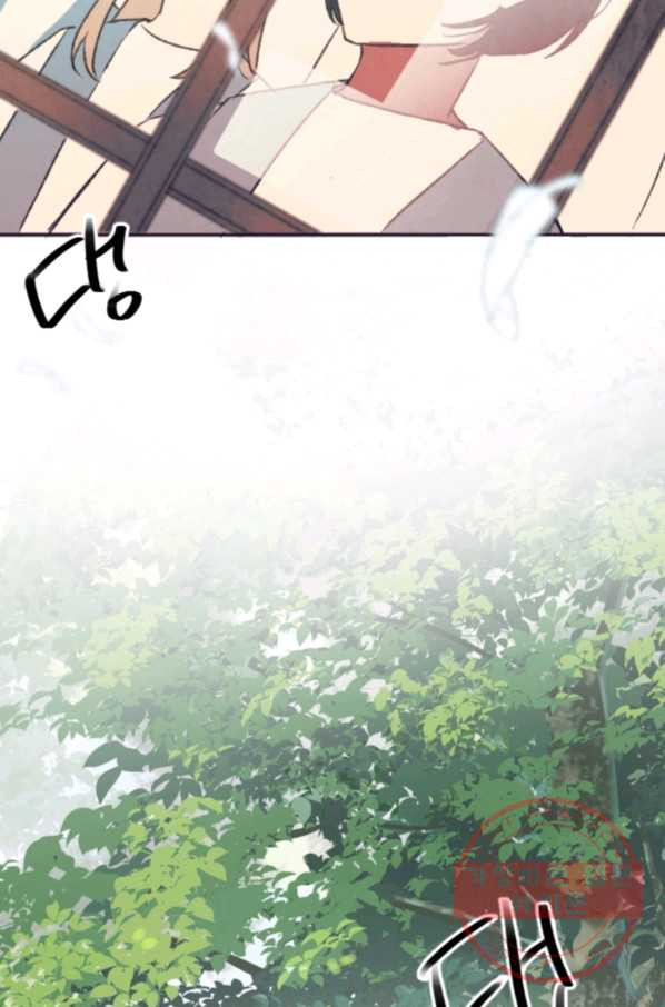 164452264053082pgogzpwl2.jpeg