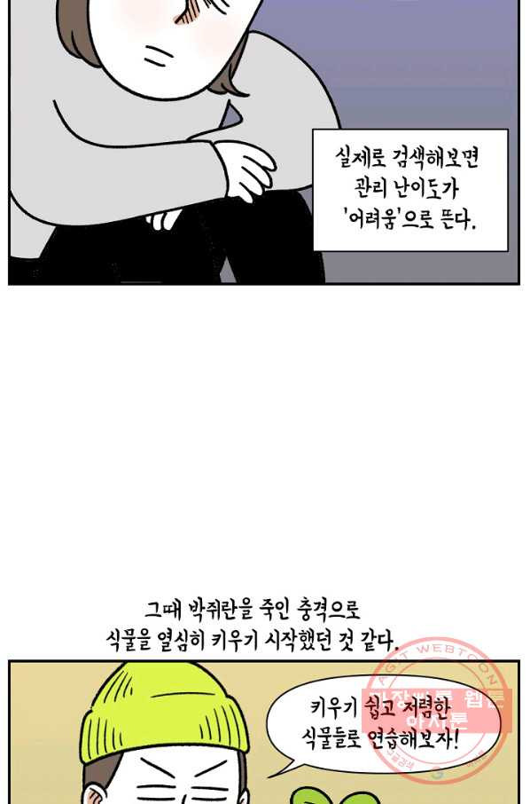 16468778359373ceemtn732w.jpeg