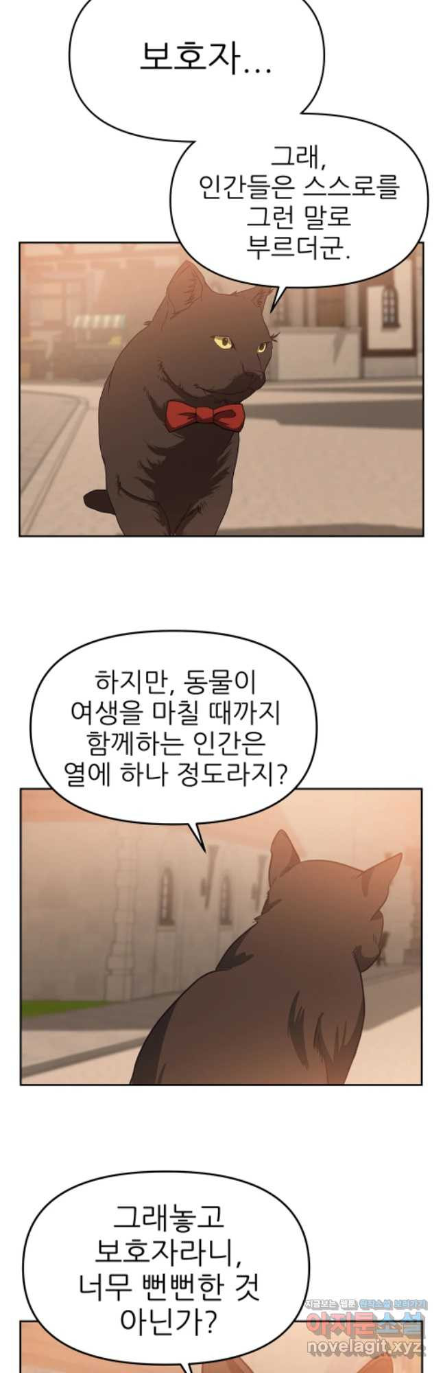 1653267850039biyu48b7wjj.jpeg