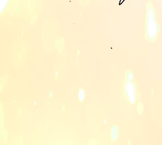 1656631820592o0qa0omqcvr.jpeg