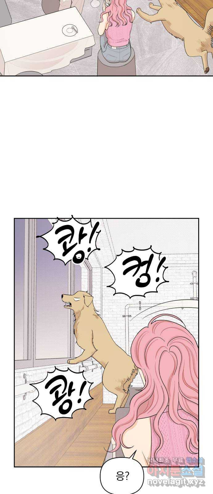 165967168151046z6bobo1f1.jpeg