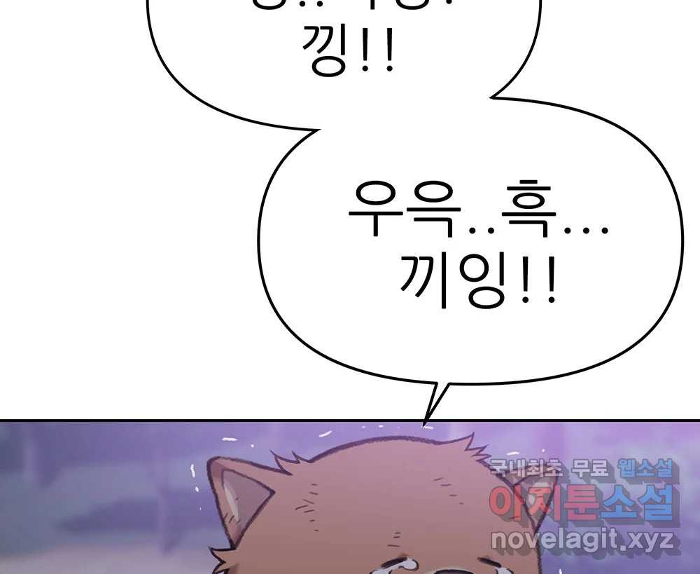1663521224432iv022syv31l.jpeg