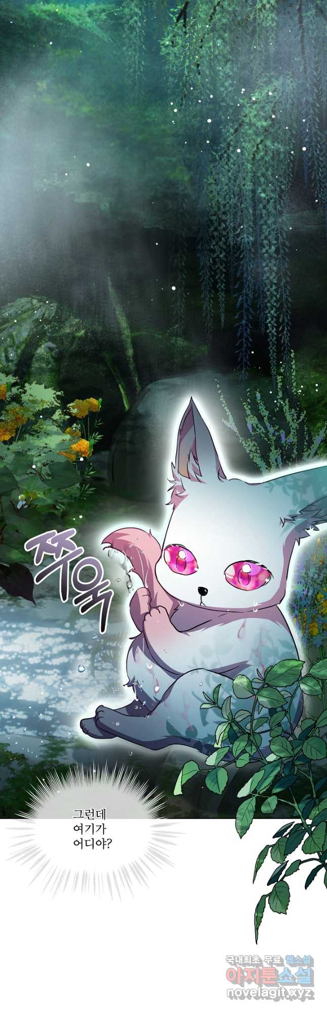 1674813388044ls69eoe8mh.jpeg