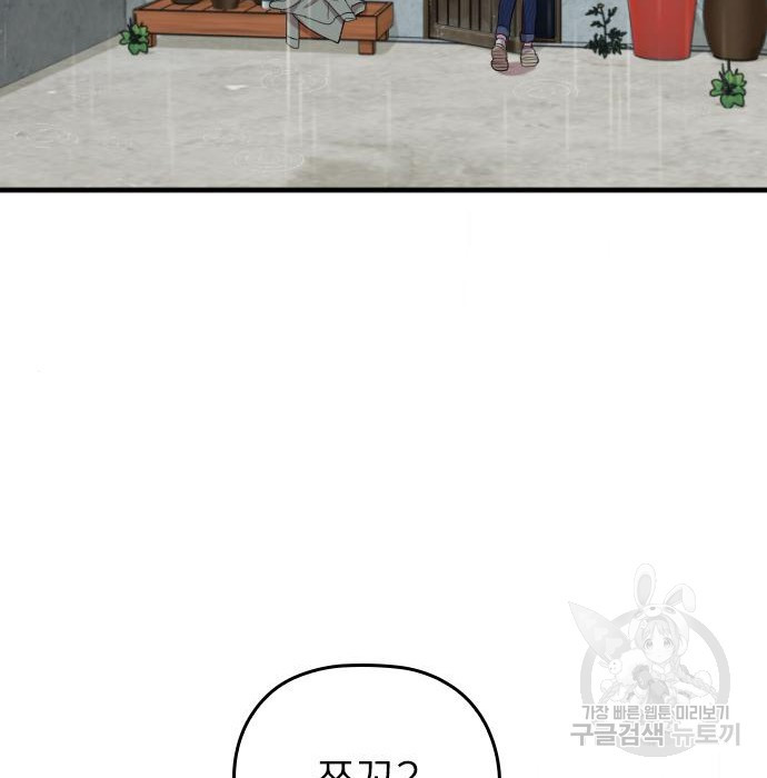 16728032052247sztsun455o.jpeg