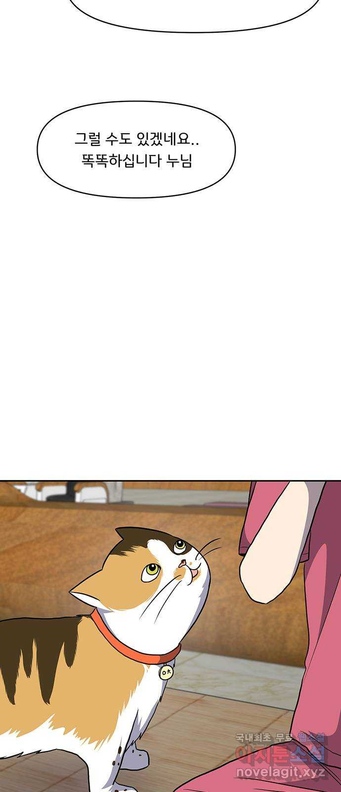 1676173867887ti445lfab3.jpeg