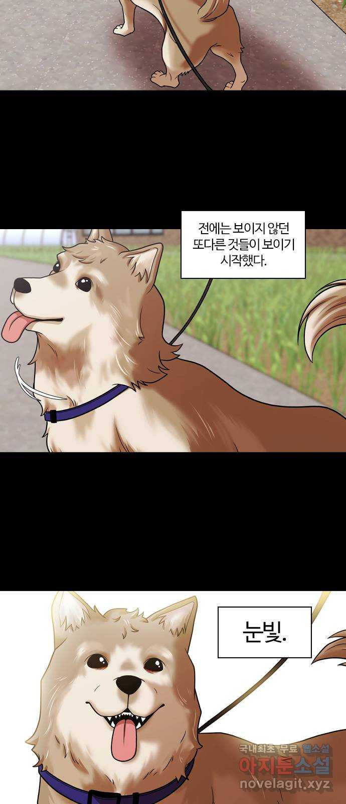1676174565886o1mvx8rc01.jpeg