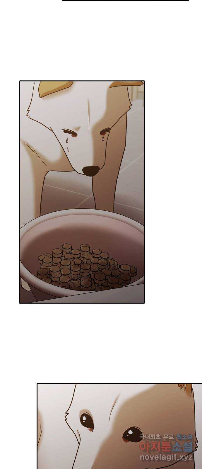 1676781284781jevirv3b1jn.jpeg