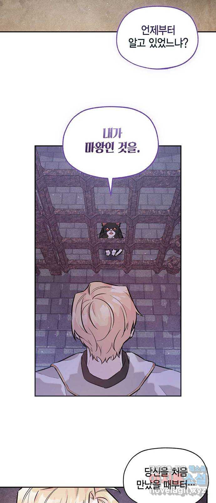 16775252513542xpvn2eyxtd.jpeg