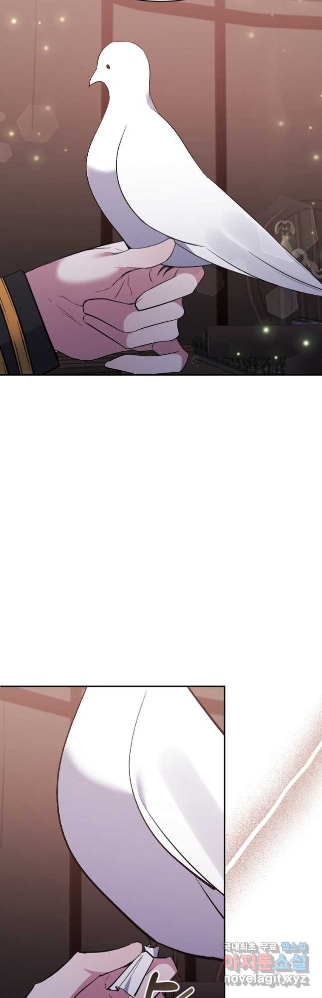 1675381447030ppiazird47e.jpeg