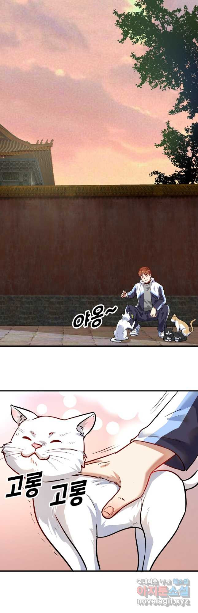 1675381950565qmwdo80iijn.jpeg