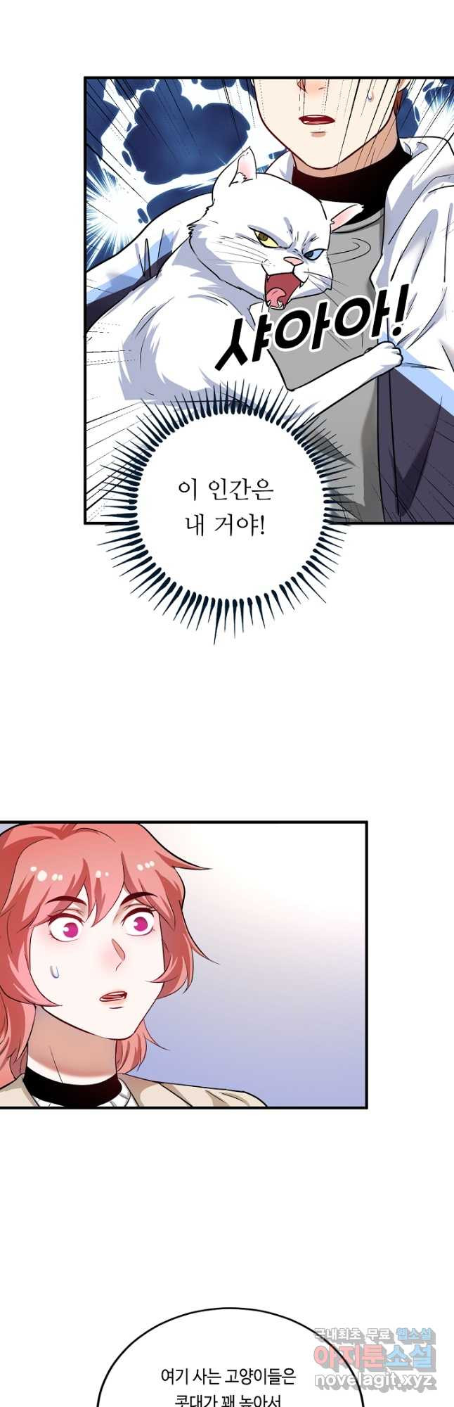 1675381951028akkzx29fiod.jpeg