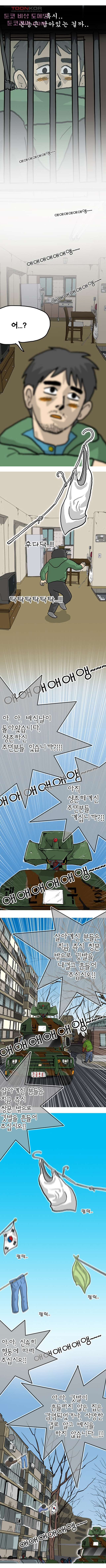 1678589713134jr69m2bke.jpeg