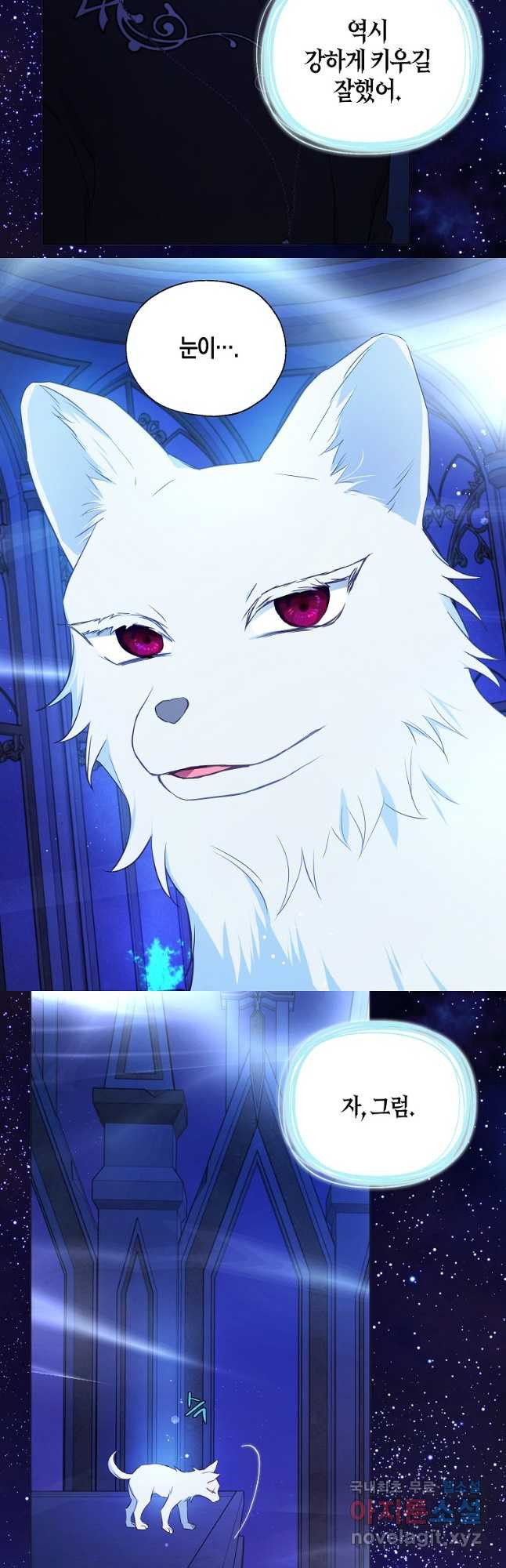 1678901030456lufg2iekpz.jpeg