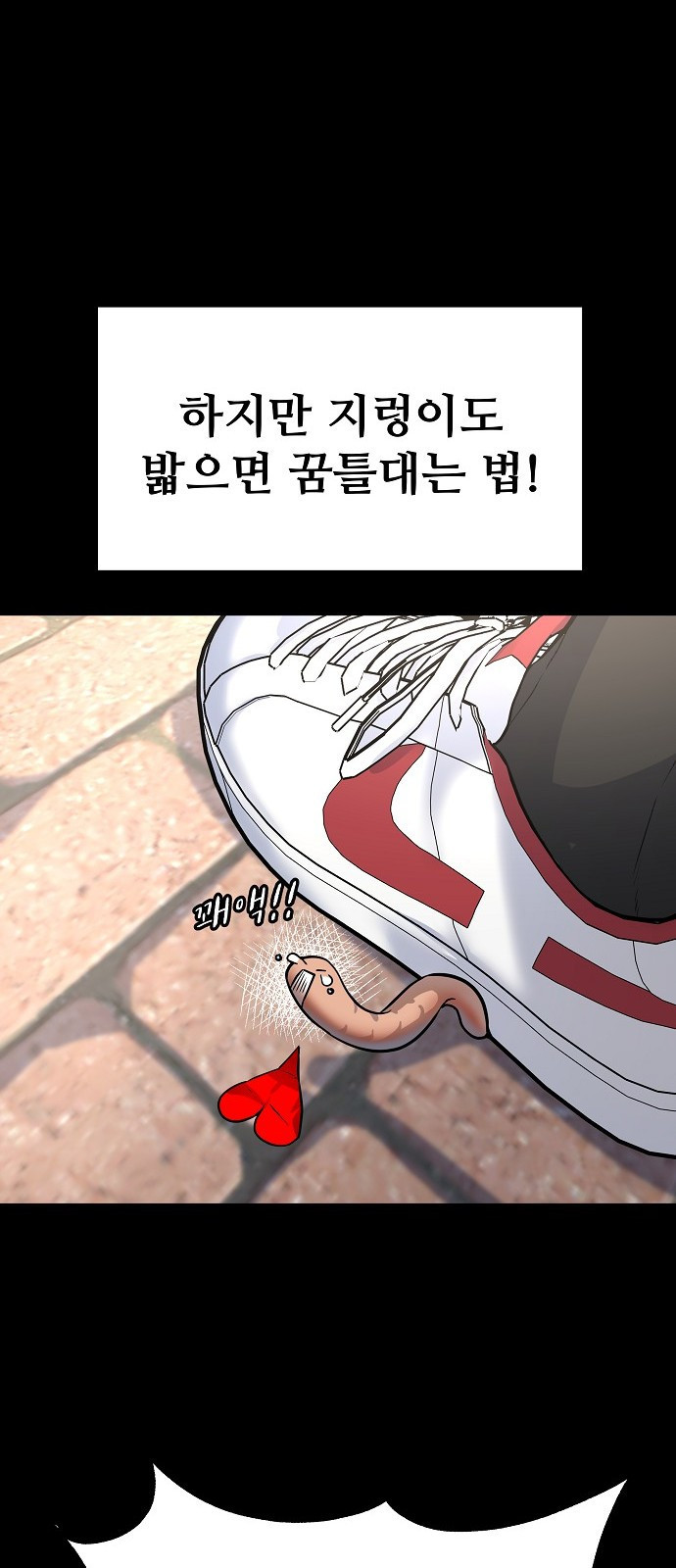 1681176912876w9aorjyt0yf.jpeg