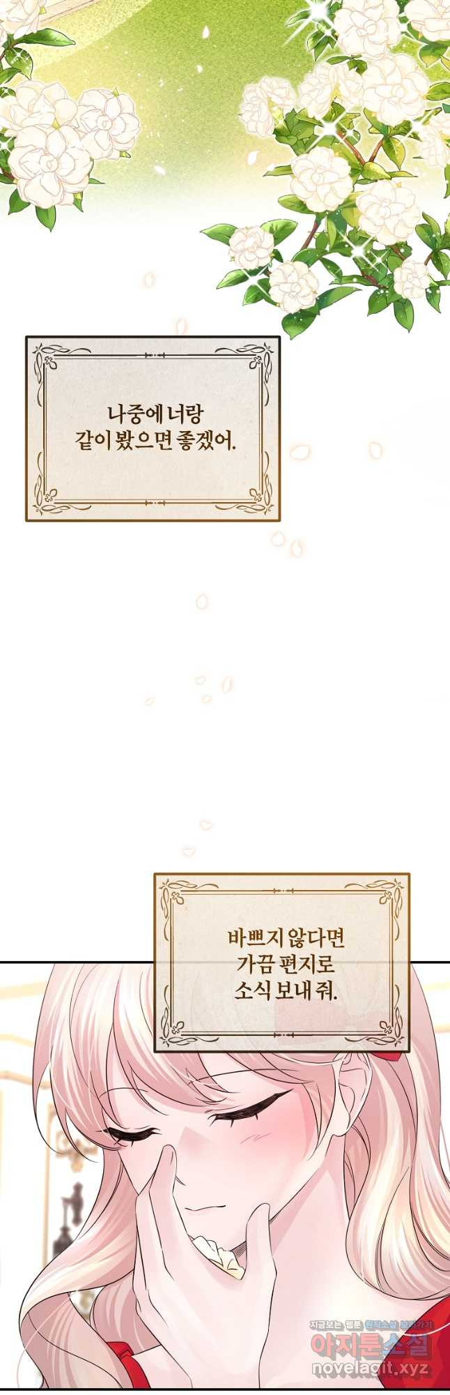 1680408691598hoxrja5n7y.jpeg