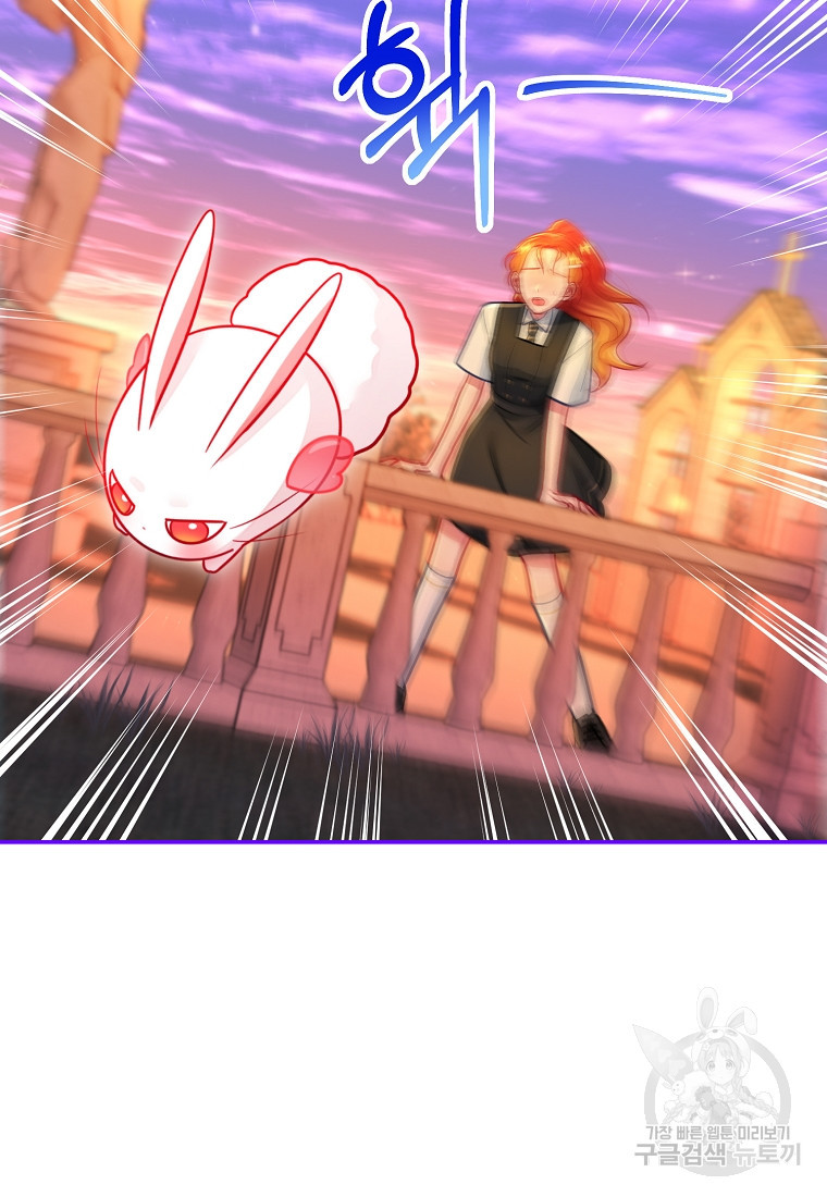 1680501783054bugckdkh1ko.jpeg
