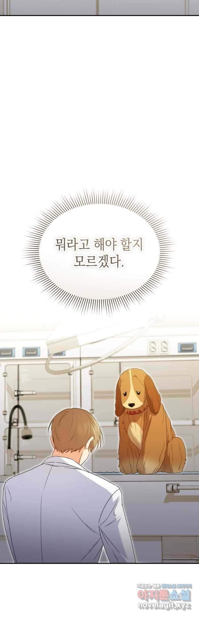 170859209496321fyysbphpj.jpeg